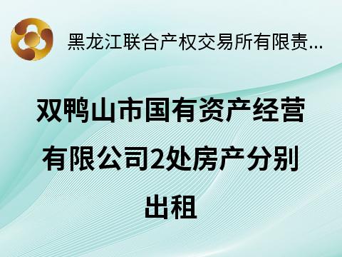 双鸭山市国有资产经营有限公司2处房产分别出租交易公告