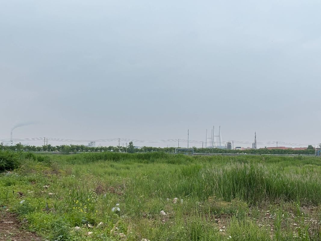 灌南县堆沟港镇黄姚村地块国有出让土地使用权转让交易公告(国资监测编号GR2026JS3002177)