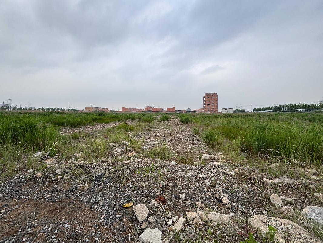 灌南县堆沟港镇化工园新港大道南侧、纬二路北侧地块国有出让土地使用权转让交易公告(国资监测编号GR2026JS3002178)
