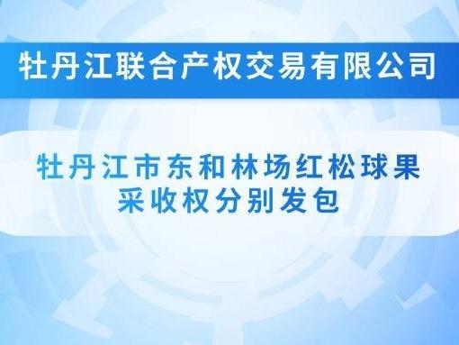 牡丹江市东和林场（畜牧场）红松球果采收权发包交易公告