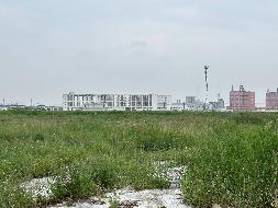 灌南县堆沟港镇黄姚村地块国有出让土地使用权转让交易公告(国资监测编号GR2026JS3002177)