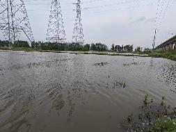 芜湖市弋江区白马街道新大垾村泵站二号、三号、四号约1159.64亩土地经营权出租公告