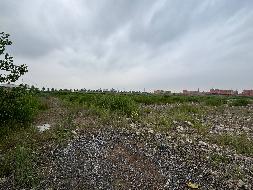 灌南县堆沟港镇化工园新港大道南侧、纬二路北侧地块国有出让土地使用权转让交易公告(国资监测编号GR2026JS3002178)