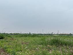 灌南县堆沟港镇黄姚村地块国有出让土地使用权转让交易公告(国资监测编号GR2026JS3002177)
