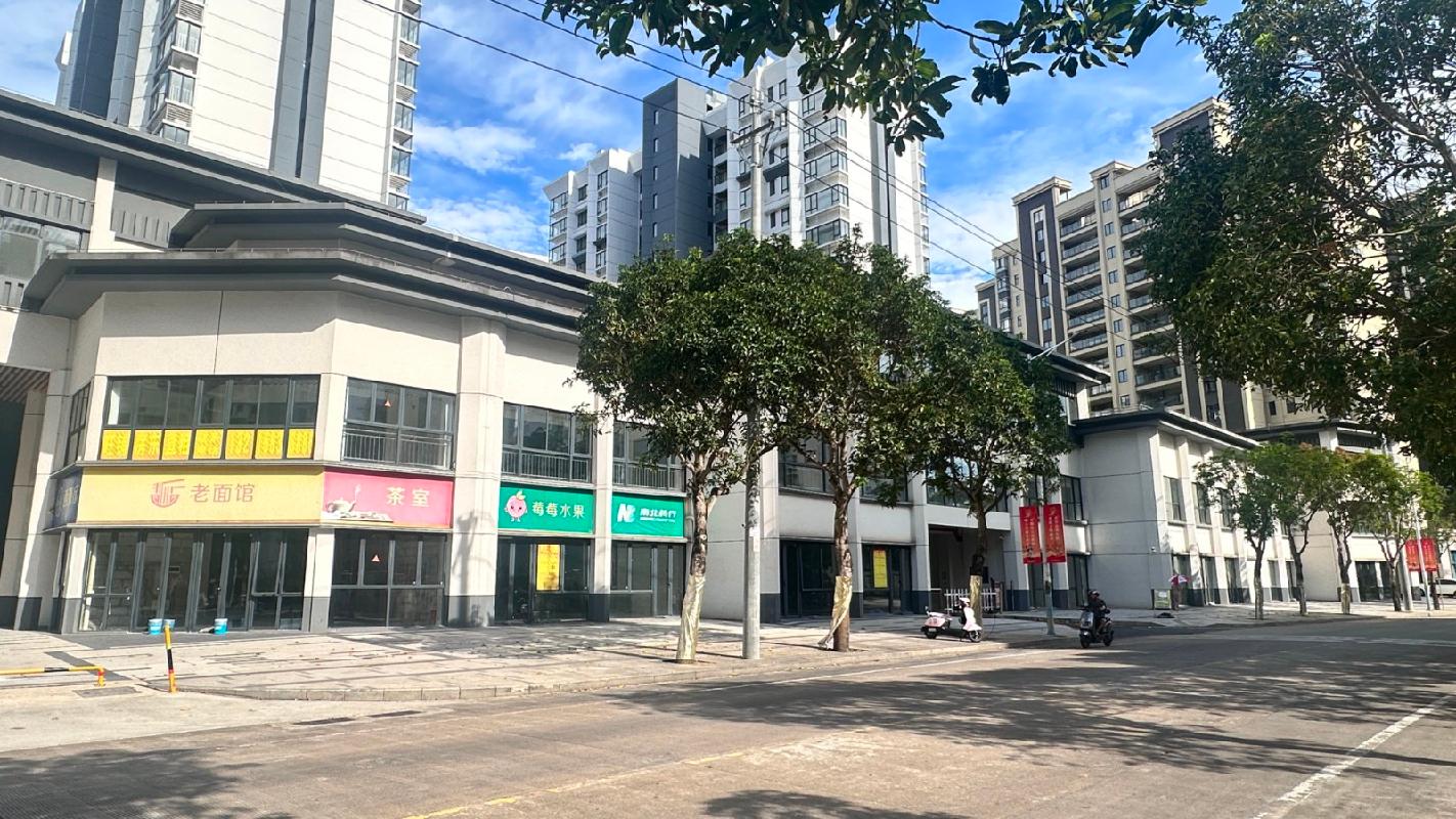 定安金城·金嘉房源居42间等商铺分别招租