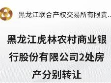 黑龙江虎林农村商业银行股份有限公司2处房产分别转让交易公告