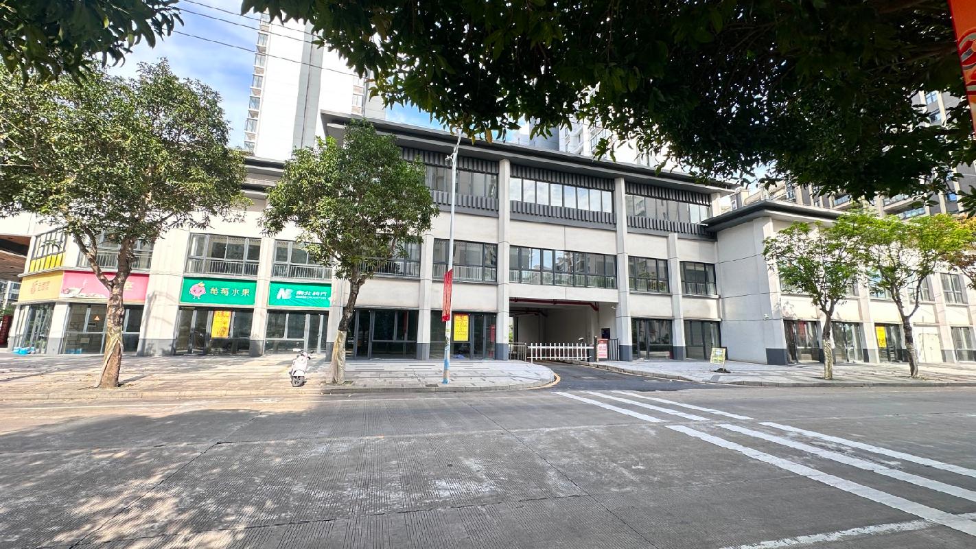 定安金城·金嘉房源居42间等商铺分别招租