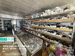 大杨树农场管理局物资处桥东商店1号门市、物资处桥东商店（库房）整体出租(租金底价18189.00元，租期一年)(国资监测编号GR2026NM1002567)