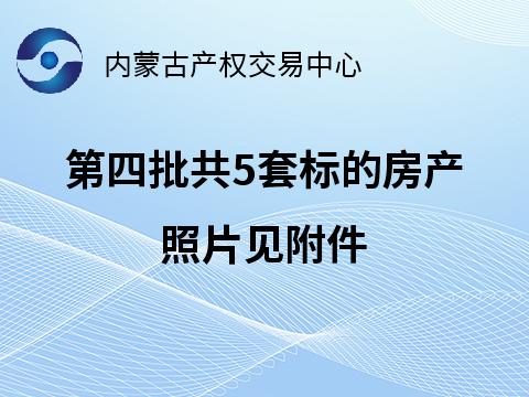 兴安盟突泉县突泉镇5套住宅房产分别转让