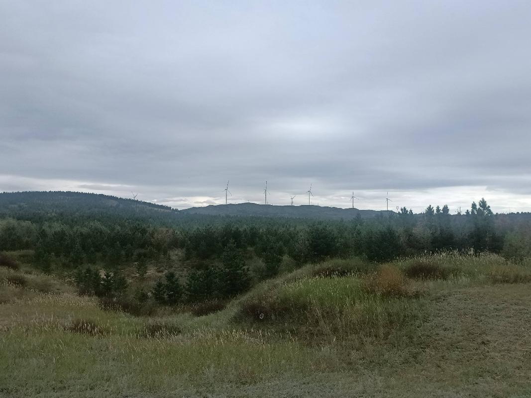 多伦县多伦诺尔镇二道洼村500003平方米土地承包经营权/森林、林木所有权转让（内蒙古农村商业银行股份有限公司镶黄旗支行）