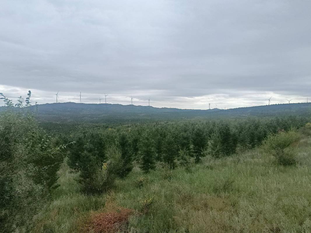 多伦县多伦诺尔镇二道洼村500003平方米土地承包经营权/森林、林木所有权转让（内蒙古农村商业银行股份有限公司镶黄旗支行）