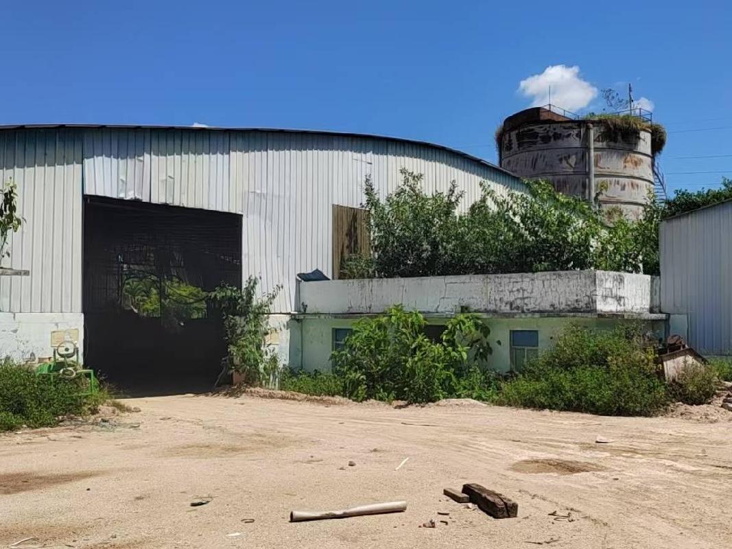 红岛牧场场部原四队牛舍12367㎡土地及其地上1500㎡建筑物招租