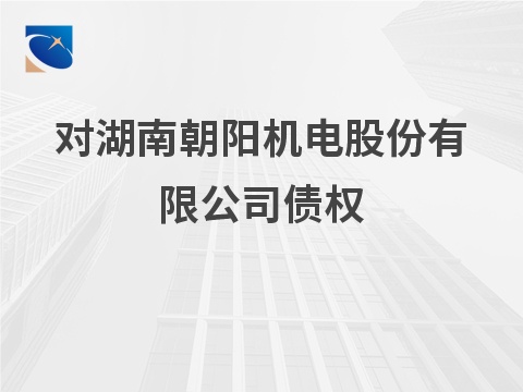 对湖南朝阳机电股份有限公司债权(二次挂牌)(国资监测编号GR2026HN1001302-2)