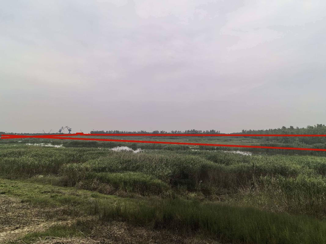 芜湖市弋江区保定街道鸭棚村境内约170亩林地20年期经营权出租公告