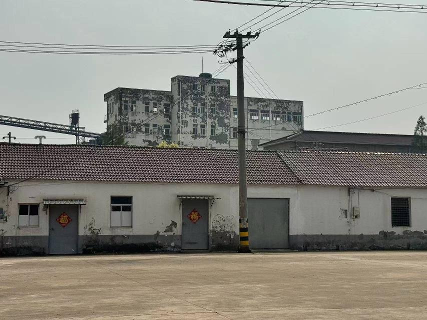 稻麦原种场15栋北楼下东4（4）招租公告