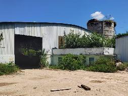 红岛牧场场部原四队牛舍12367㎡土地及其地上1500㎡建筑物招租