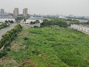 电商产业园A地块招租公告