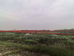 芜湖市弋江区保定街道鸭棚村境内约170亩林地20年期经营权出租公告