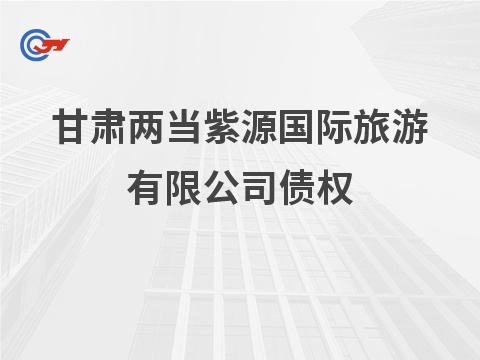 甘肃两当紫源国际旅游有限公司债权竞价公告