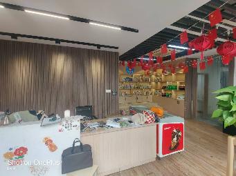 常州市钟楼区丁香苑1-10、1-11、1-12、1-13号商铺招租公告