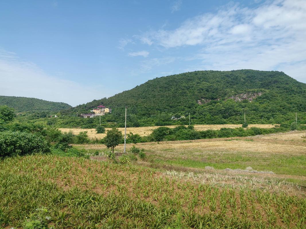 无为市石涧镇青苔村郎小至竹园等9个自然村约1,070亩土地经营权出租公告