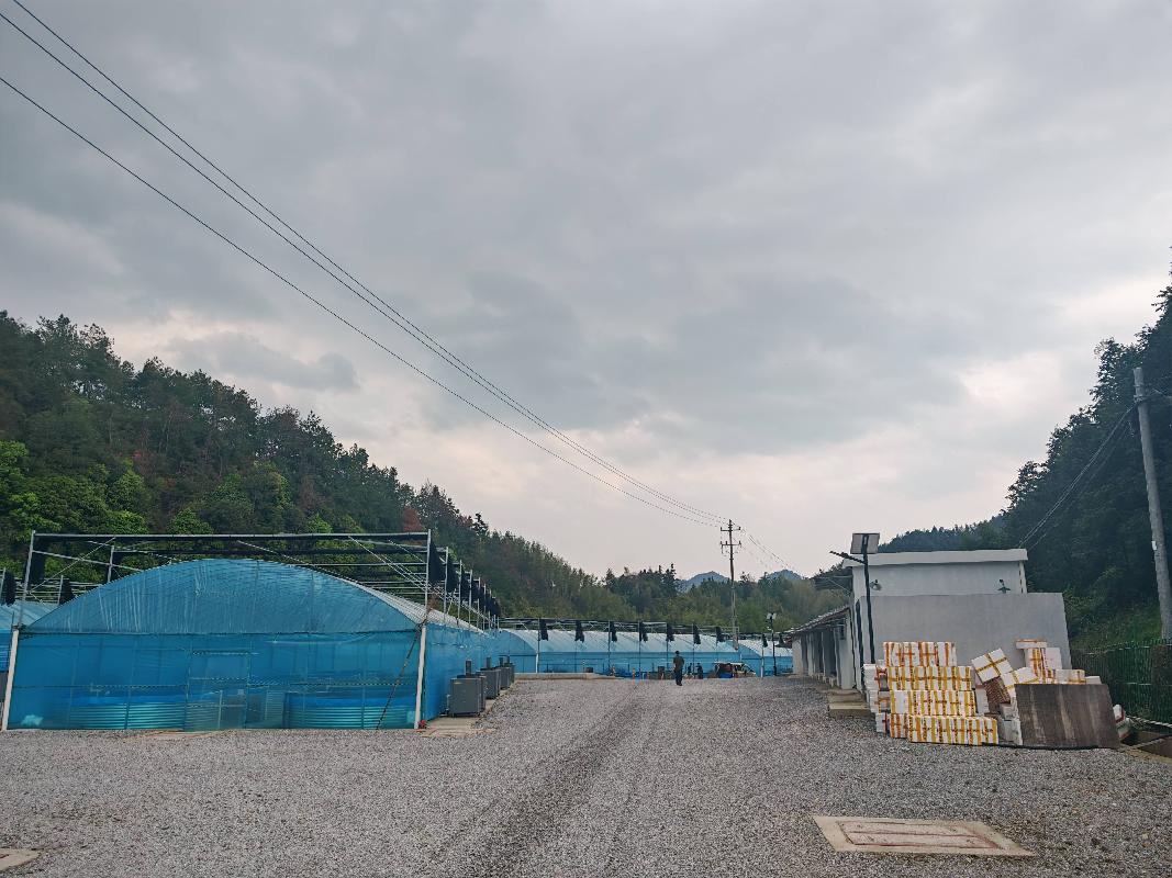 衢江区双桥乡年产150万斤清水鱼基地项目公开挂牌招租