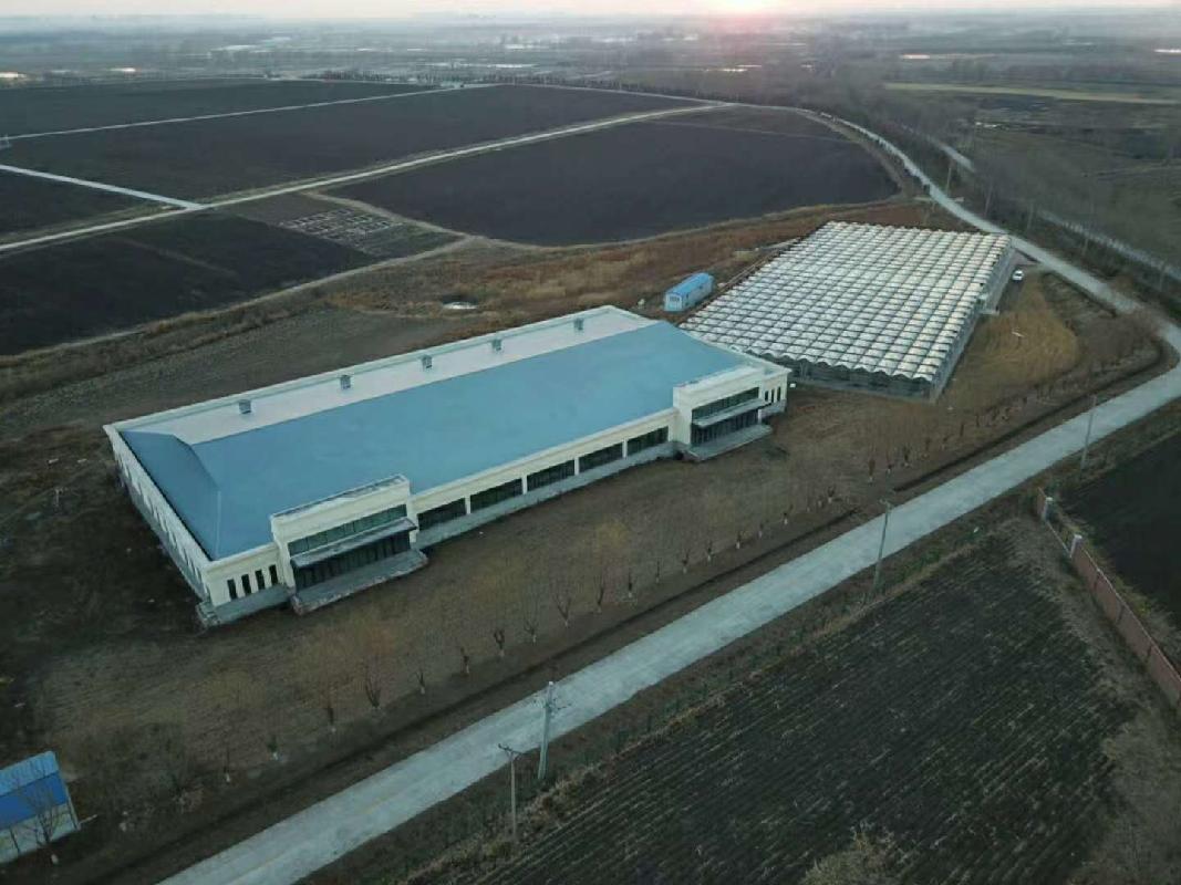 黑龙江省农业科学院经济作物研究所马铃薯原种繁育中心和马铃薯连栋智能温室房屋捆绑招租交易公告