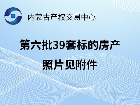 突泉县突泉镇一批（15套）商业房产分别转让
