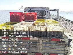 黑龙江省兴凯湖水产养殖有限公司小兴凯湖半年期鱼、虾类水产品（分3包）转让交易公告