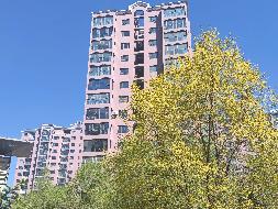 内蒙古银行股份有限公司乌兰察布分行持有的呼和浩特市蒙鑫国际小区11号楼1302号住宅转让