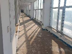 黑龙江省农业科学院经济作物研究所马铃薯原种繁育中心和马铃薯连栋智能温室房屋捆绑招租交易公告(国资监测编号GR2026HL2003206)