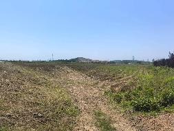 芜湖市弋江区白马街道新大垾村约763.41亩土地经营权出租公告