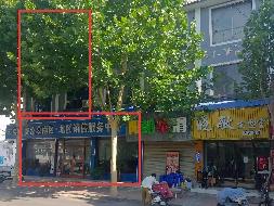 江苏徐州丰县大同路50-5号房产招租项目公告(国资监测编号GR2026JS4002329)