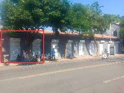 江苏徐州丰县向阳路227-16-17号房产招租项目公告(国资监测编号GR2026JS4002331)