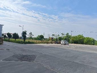 九里农场东南区地块农作物种植土地招租公告