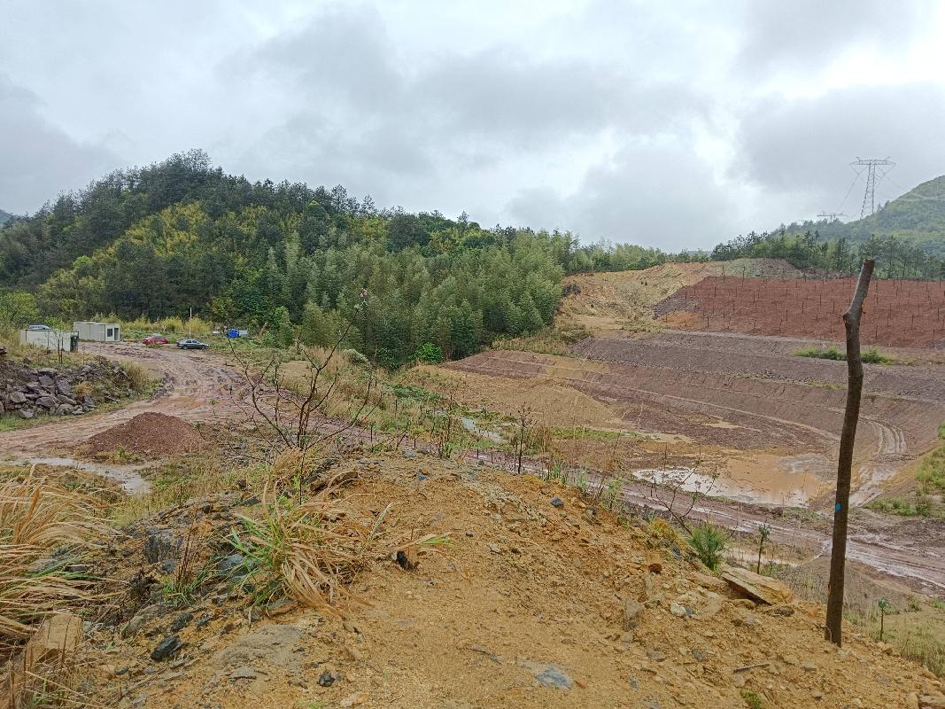 衢江区黄坛口乡黄坛口村“大麻洋”油茶地公开挂牌招租