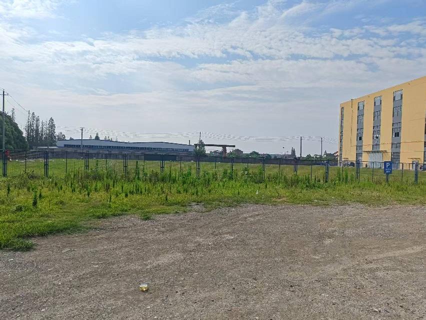 稻麦原种场九里码头东侧草地招租公告