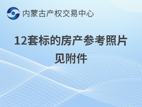 乌兰浩特市财信国有资本投资有限责任公司12套商业及住宅房产分别转让