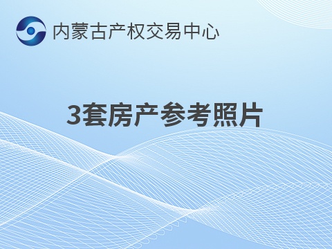 兴安盟突泉县突泉镇一批（3套）商业及住宅房产分别转让