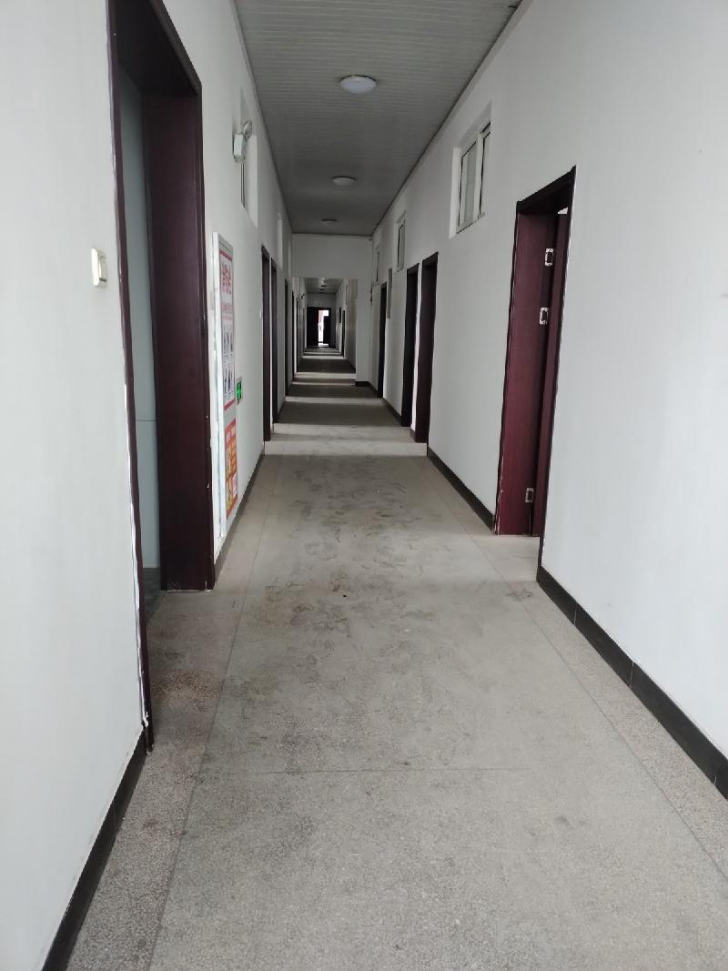 池州市永明路东1号楼池州市公交调度中心原管委会大楼东侧一至三层房产整体出租公告(国资监测编号GR2026AH2001466)