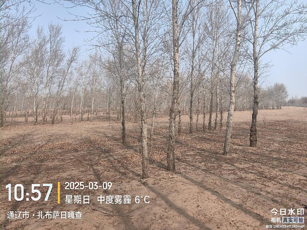 内蒙古农村商业银行股份有限公司科尔沁左翼中旗支行一批抵债资产公开转让市场询价公告