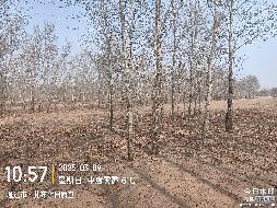 内蒙古农村商业银行股份有限公司科尔沁左翼中旗支行一批抵债资产公开转让市场询价公告