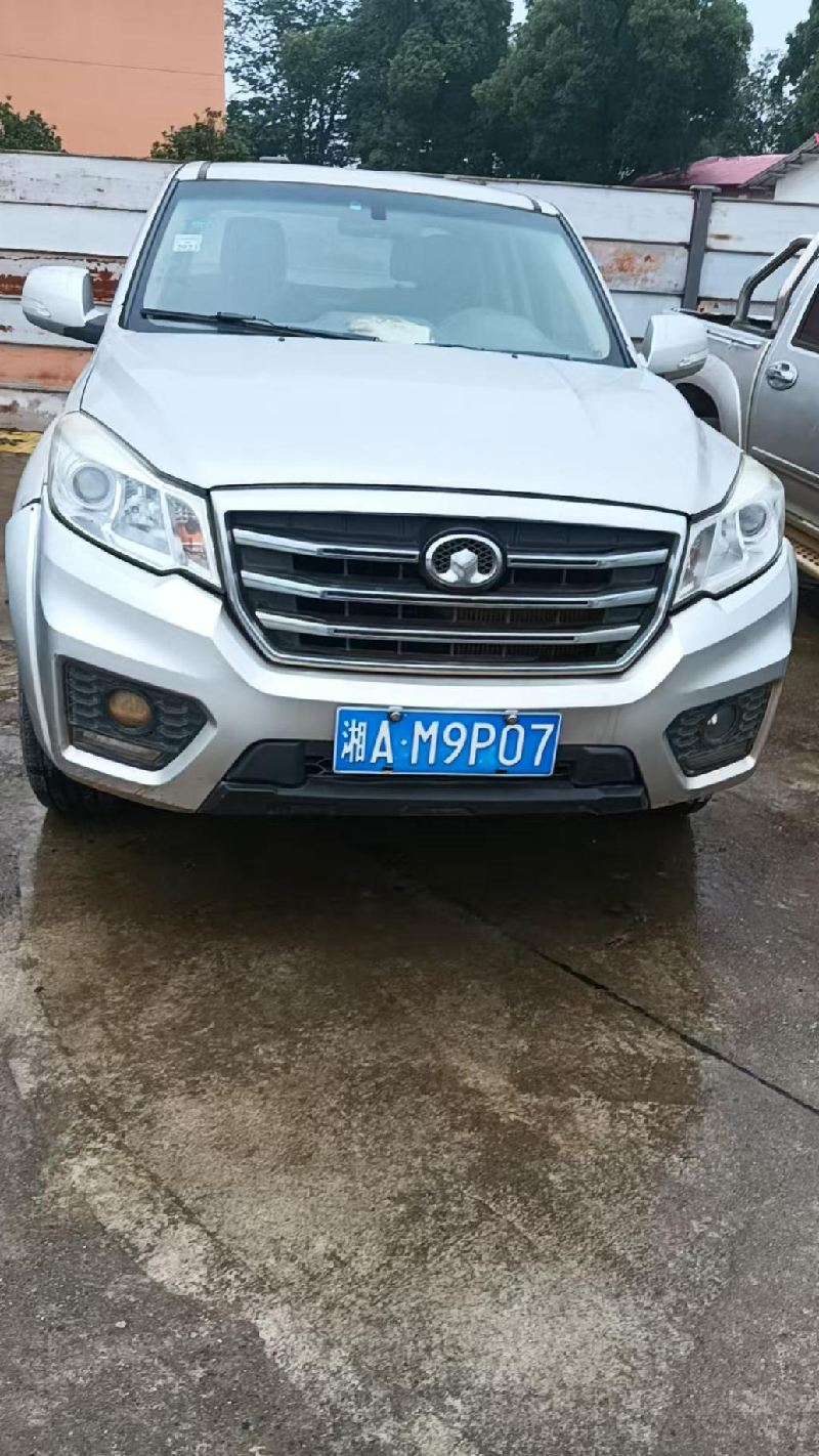 湘AM9P07长城牌CC1031PB6T 轻型普通货车(国资监测编号GR2026HN1001429)