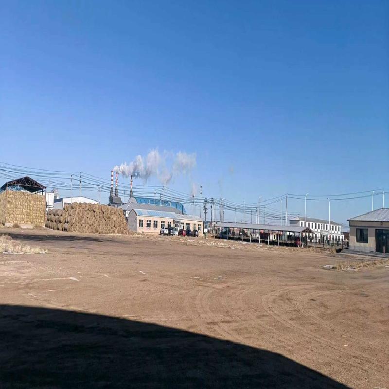 内蒙古苏尼特资产运营有限公司一处土地使用权及地上建筑物整体转让(国资监测编号GR2026NM1002719)