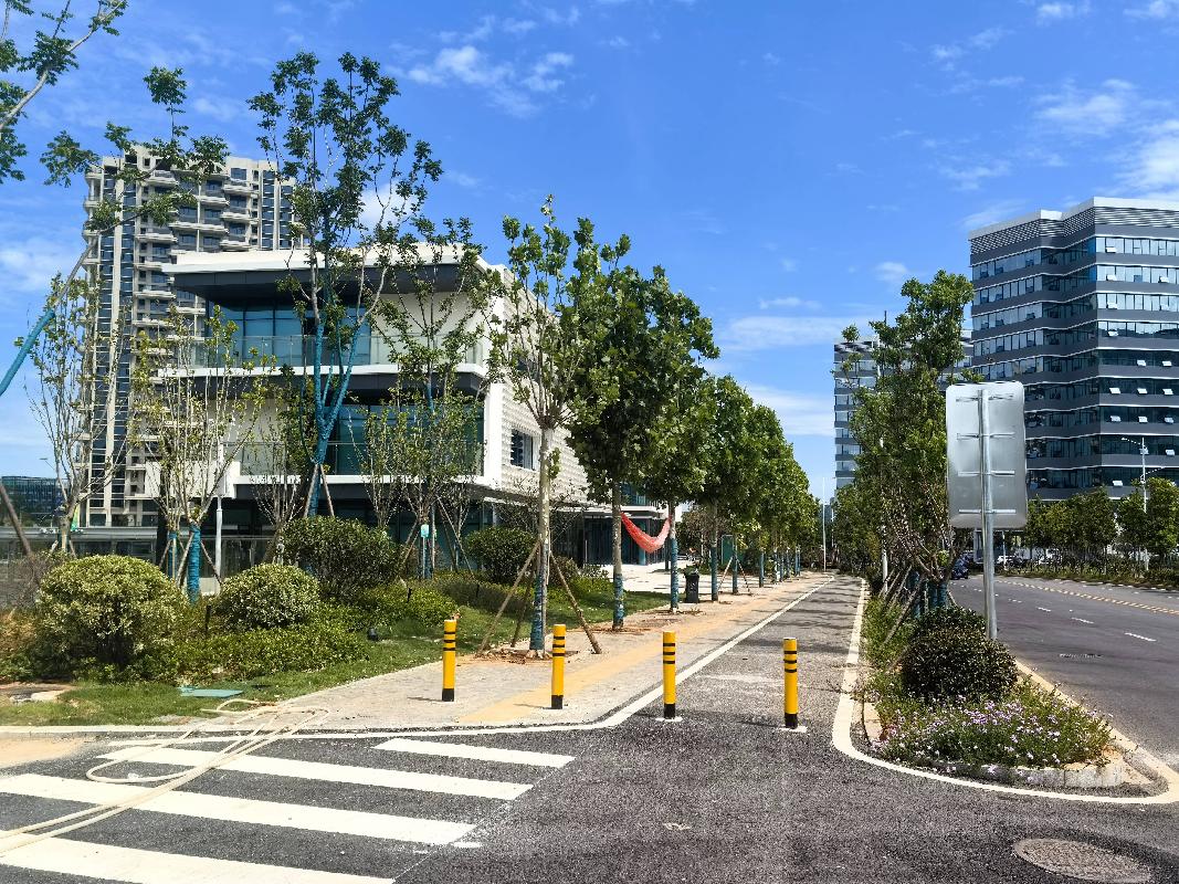 岳阳市中心医院配套商业6栋商业楼出租（4#商业楼第一层除外）