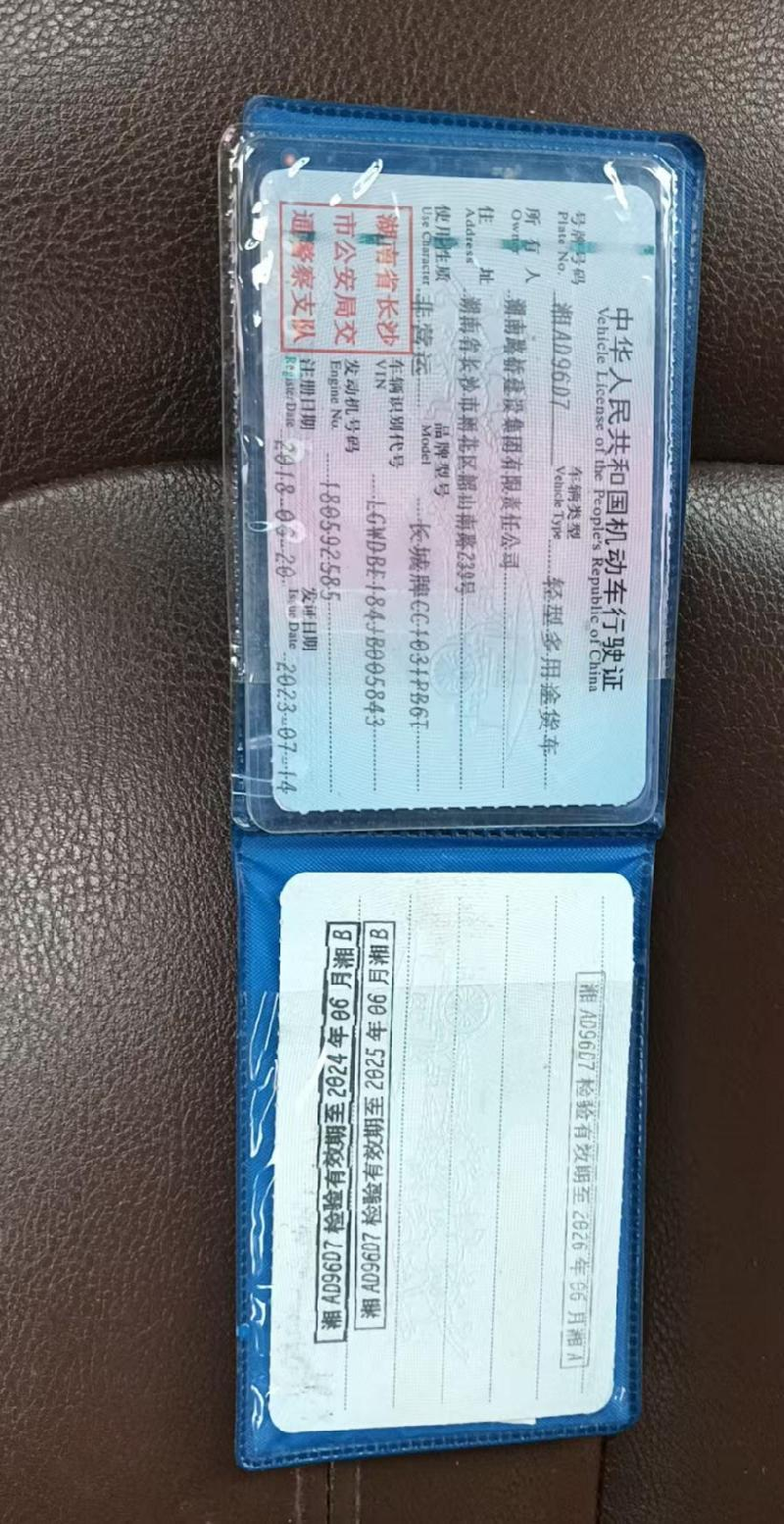 湘AD96D7长城牌CC1031PB6T 轻型普通货车(国资监测编号GR2026HN1001427)