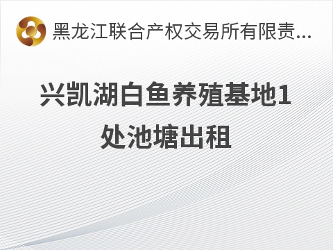 兴凯湖白鱼养殖基地1处池塘出租交易公告