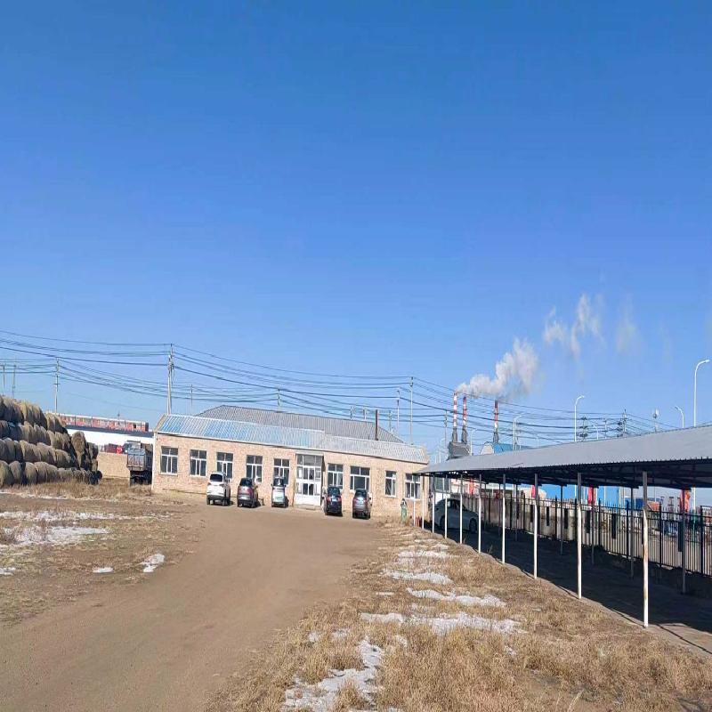 内蒙古苏尼特资产运营有限公司一处土地使用权及地上建筑物整体转让(国资监测编号GR2026NM1002719)