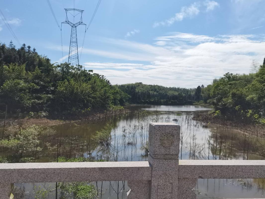 衢江区大洲镇沧州村荷花形水库（现长塘水库副坝水域）公开挂牌招租