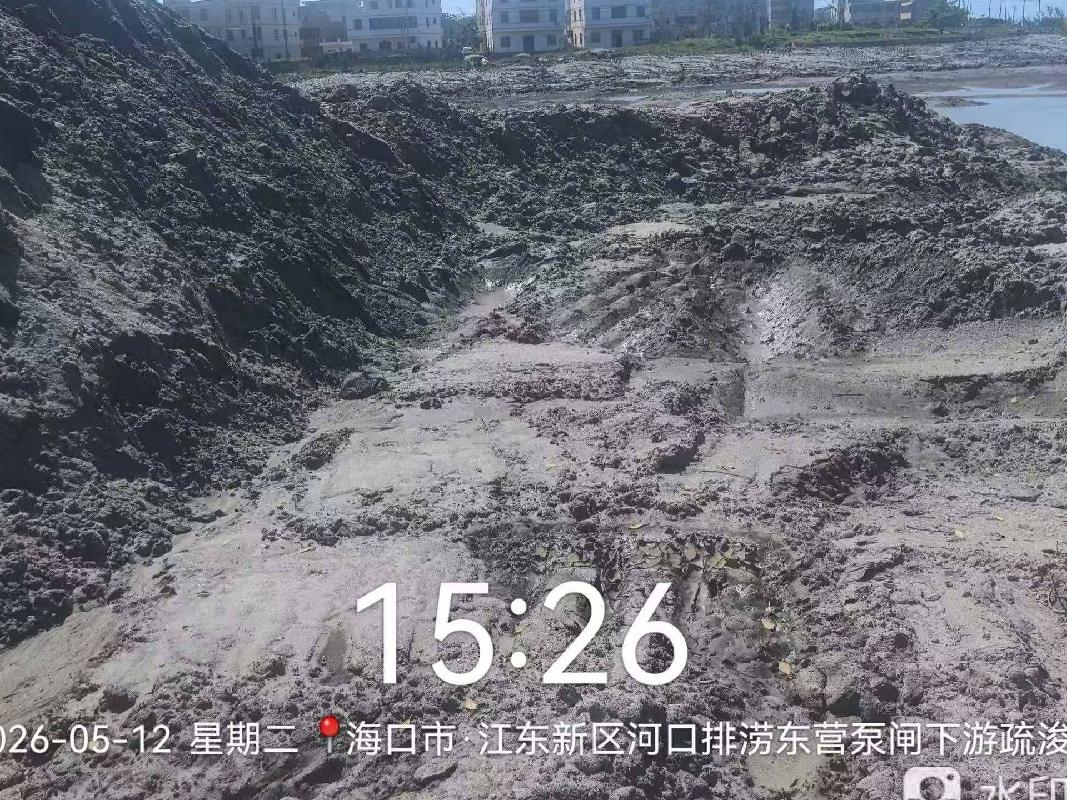 海口市江东新区河口排涝泵闸建设工程（东营溪泵站）项目的4.0792万m³疏浚物转让